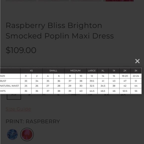 Sugarlips Raspberry Bliss Brighton Smocked Poplin Maxi Dress L - Picture 7 of 7